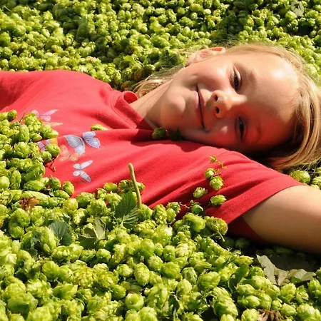 Hopfgaertle Mueller Bodnegg