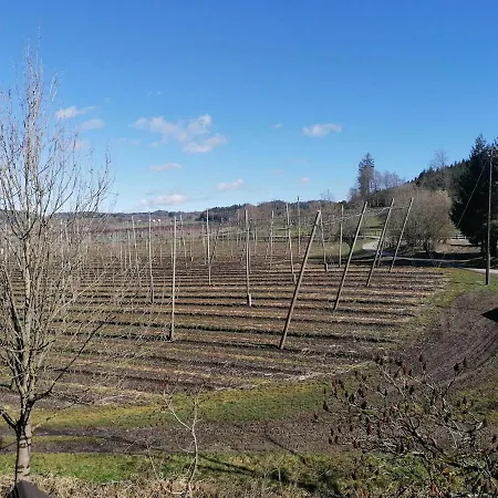 Feriegård Hopfgaertle Mueller *