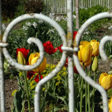 팜스테이 Hopfgaertle Mueller Bodnegg