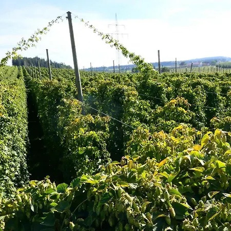 팜스테이 Hopfgaertle Mueller