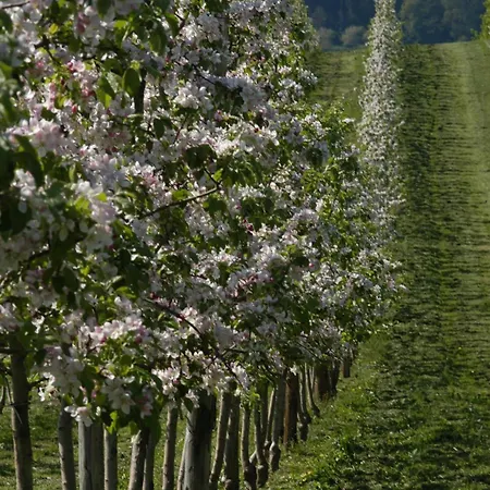 팜스테이 Hopfgaertle Mueller