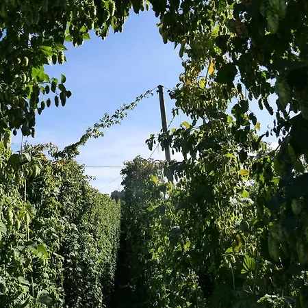 팜스테이 Hopfgaertle Mueller