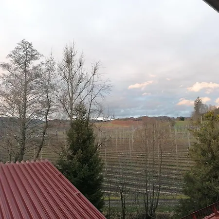 Hopfgaertle Mueller Farm stay