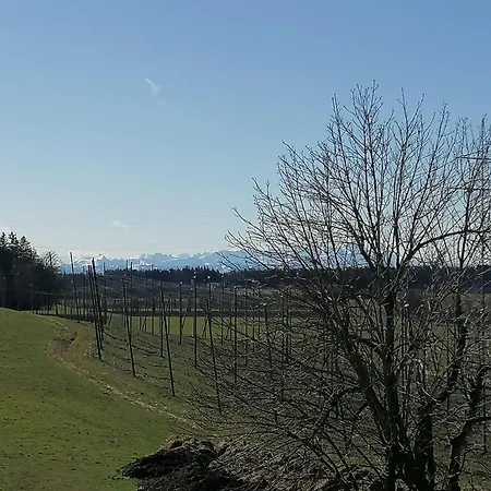 Farm stay Hopfgaertle Mueller *