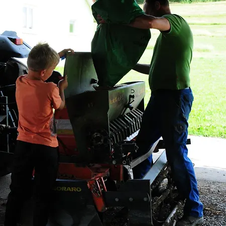 Hopfgaertle Mueller 팜스테이 Bodnegg