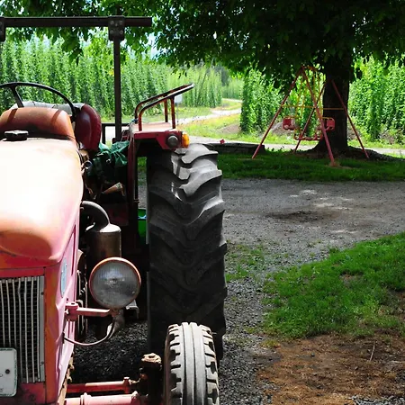 Hopfgaertle Mueller *