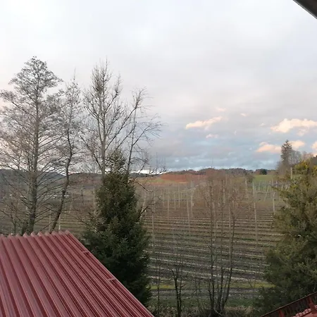 Hopfgaertle Mueller Farm stay Bodnegg